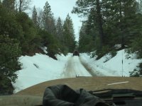 IMG_0359.jpg