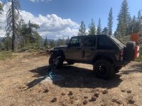 IMG_1785.jpeg