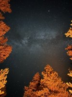 thumbnail_37346.jpg