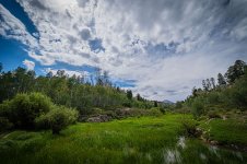 DSC_5129_1.jpg