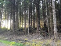 IMG_3924.jpeg IMG_3924.jpeg