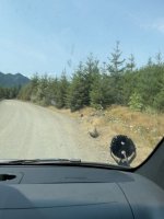 IMG_4056.jpeg