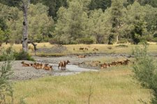 IMG_6439 (Medium).JPG