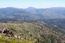 IMG_8017 (Medium).JPG