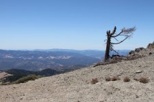 IMG_8032 (Medium).JPG