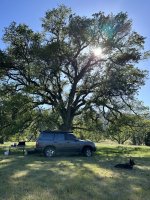 IMG_2569.jpeg