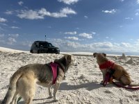 IMG_6279.jpeg