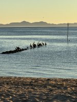 IMG_3636.jpeg