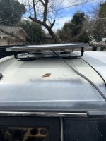 IMG_4411.jpeg