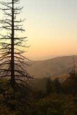 IMG_8092.JPG
