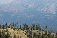 IMG_8120.JPG