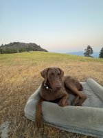 IMG_3088.jpeg