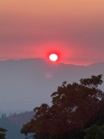 IMG_3084.jpeg