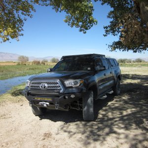 Fog Pond BRP